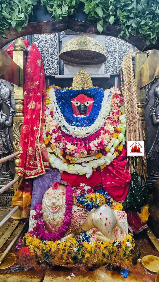 RameshSabhar's tweet photo. आज दिनांक 19/06/2026 शुक्रवार को करिये माँ के मंगला आरती का दिव्य दर्शन त्यागहिं लोभ मोह जे कामा ज्ञान ज्योति जानहि माँ विंध्यवासिनी नामा
🙏
जय माँ विंध्यवासिनी https://t.co/EcvOcyaoIL