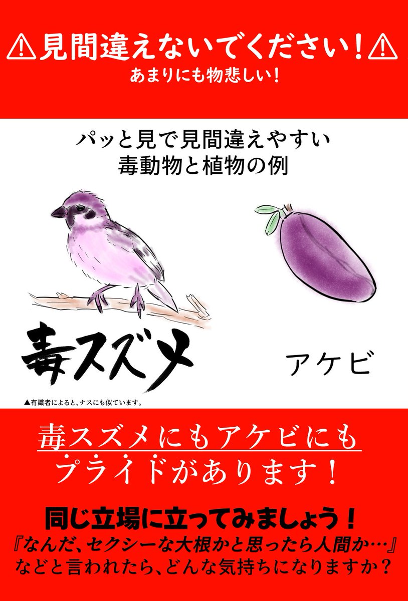 BoxFence's tweet photo. https://t.co/LE51gZnPqo
