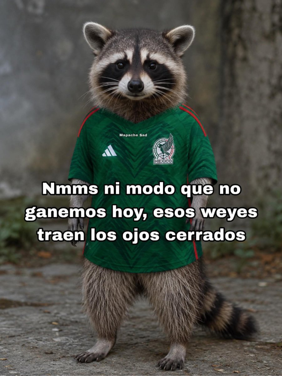 Argos_gg's tweet photo. GOOOL DE MÉXICO.
🥳🥳🥳🥳🥳🥳🥳🥳 https://t.co/8nOeRIgEJK