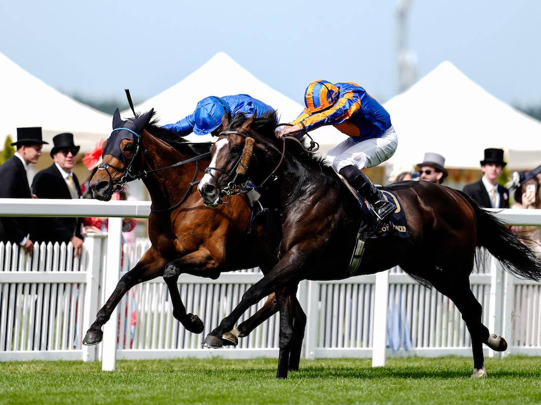 Miller_flash's tweet photo. #RoyalAscot 2026, Gold Cup: The 4-year-old, Scandinavia, got up (just) to take this year’s renewal for Aidan O’Brien from the admirable front-running Trawlerman (last year’s winner) in a pulsating finish. https://t.co/VQ7Hv72pwD