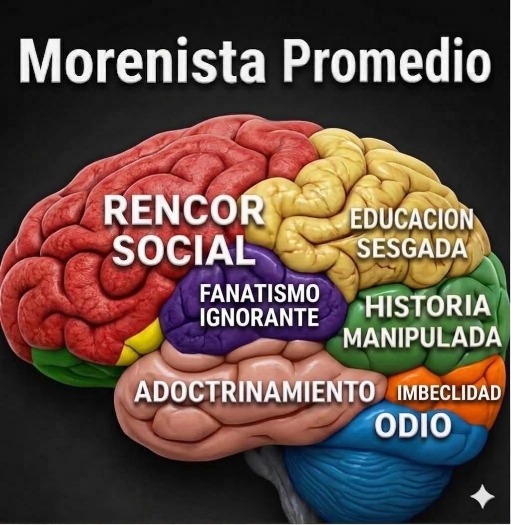 GARCIPAVON's tweet photo. Y muchas cosas más, así el cerebro de un chairín ''promedio'' 😏 👇