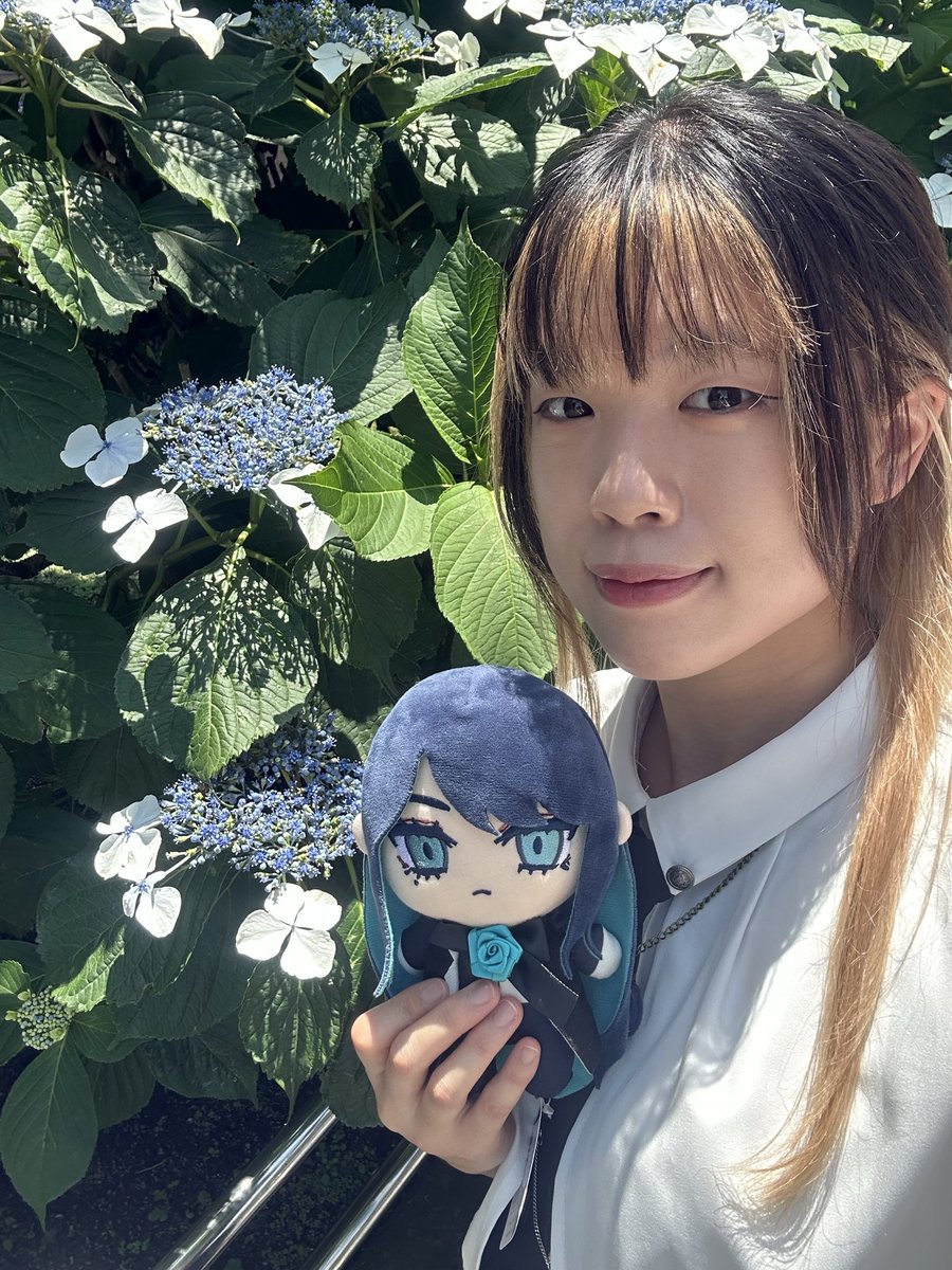 _iirohaa's tweet photo. 💙💙 https://t.co/Tbcp48pYrz