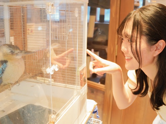 ghannaghanna_CL's tweet photo. ___________________________

No.7🏆

26th  まるちゃん🦉

優しいこの人には、ふれあいカフェがぴったり！！！☕🌿

#GhannaGhannaCL2026
#がな1
___________________________ https://t.co/PJ4A5dXaNU