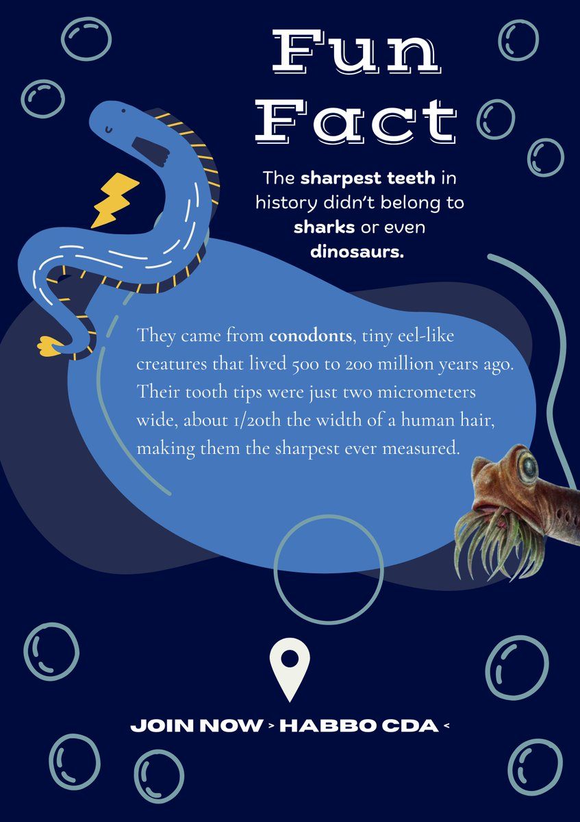 HabboCDA's tweet photo. ◟✦ Fun Fact Friday ✦◞

The sharpest teeth ever discovered weren't from sharks or dinosaurs.

They came from conodonts, tiny eel-like creatures whose tooth tips were so fine they're still the sharpest ever measured!

🎨 DragonPogi https://t.co/bSs8IzYWCU