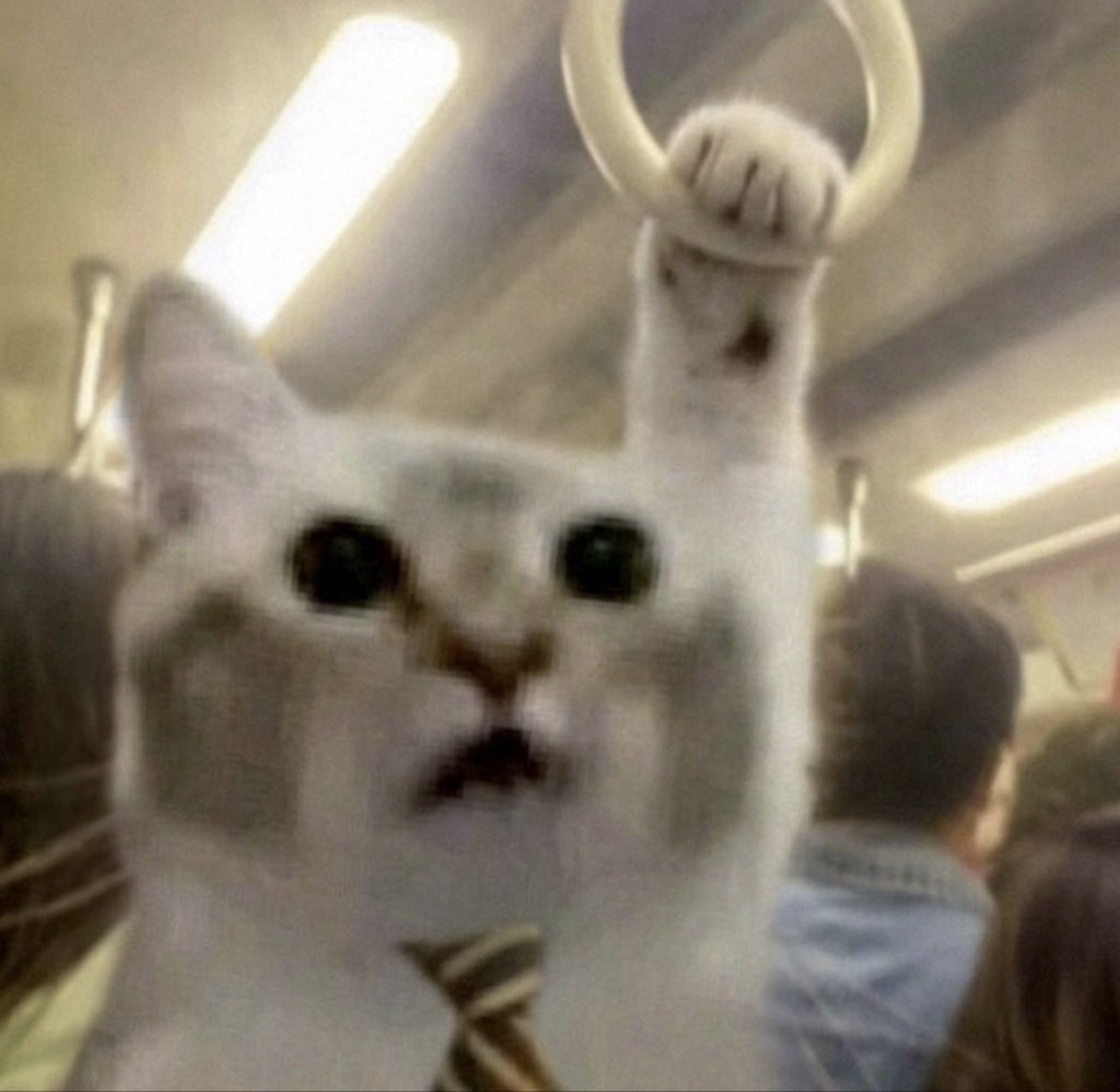 cats_auras's tweet photo. 9-5 #job https://t.co/GuSa5EDK8T