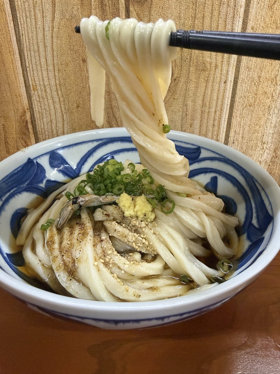 kotar17's tweet photo. 高知県のコバコに来ています

一番乗りです！

いりこまみれぶっかけ特大880円

いりこ1匹だけかよ… https://t.co/UepZ2csinW