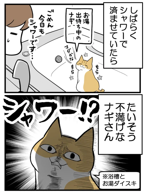 お湯がないと納得できない猫(1/3) 