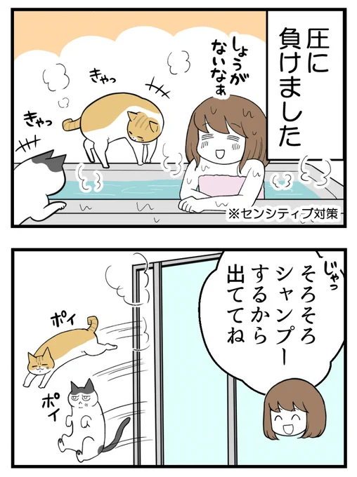 (2/3) 