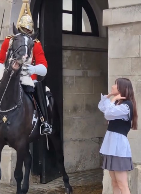 aigare01's tweet photo. イギリス王室の衛兵に近づき、
映え写真を撮ってた日本人観光客が
邪魔だとブチキレられる

インドのガンジス川で迷惑行為した奴もそうだけど
海外に行ってまでなぜ迷惑をかけるのか
ほんと恥ずかしい、同じ日本人として https://t.co/Nne7OsTSwV