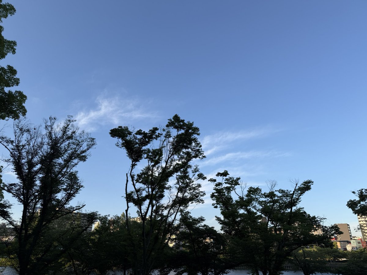 Hiiisa12's tweet photo. 2026.06.19 1枚目は昨日のお出かけ先での1枚、2枚目は今朝の空、今日は曇り空でちょっと蒸し暑いですね💦💦 https://t.co/0HsKM0kXVc