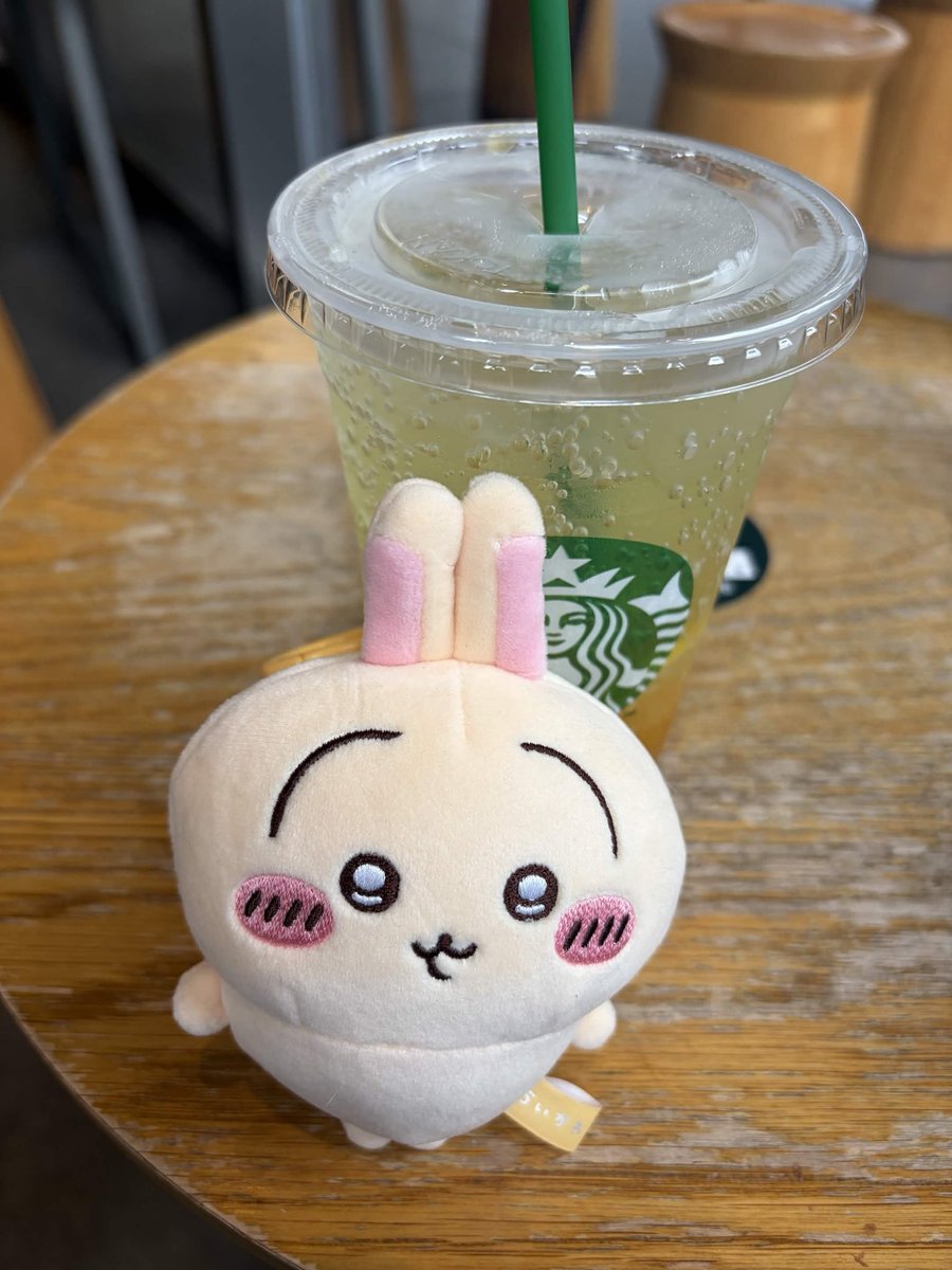 meetandaoo's tweet photo. 🍊ゆずシトラス プルャックスソーダ🫧 https://t.co/UkuFgmL16m