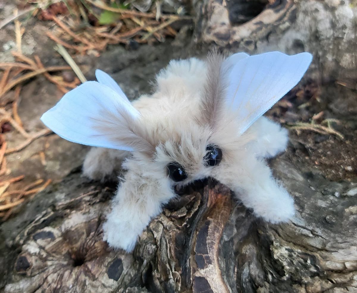 motheinsect's tweet photo. they turned me into a plushie https://t.co/MlPVVgl0HP