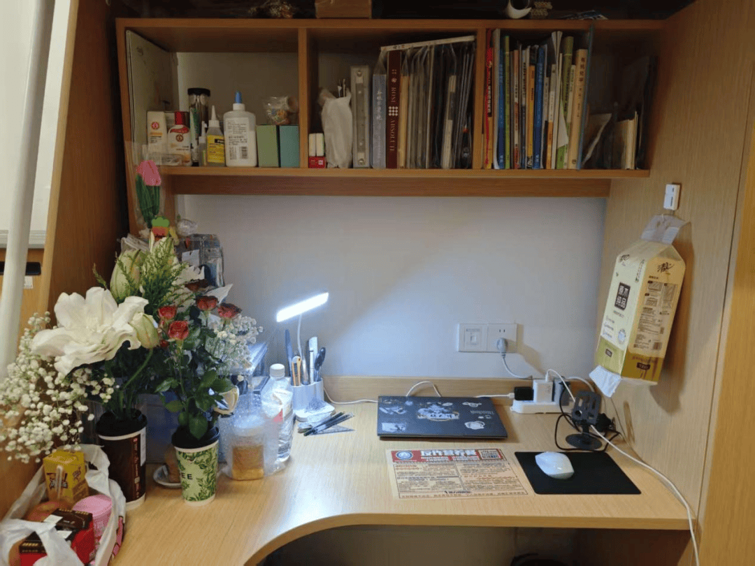 Kitya09538088's tweet photo. Tired of cluttered desks A minimalist setup with a small plant and only daily-use gear keeps you focused all day https://t.co/cA0q0HTIOt