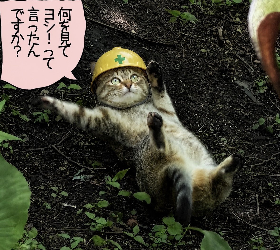 USI_blue's tweet photo. https://t.co/JN2TZEiNyJ