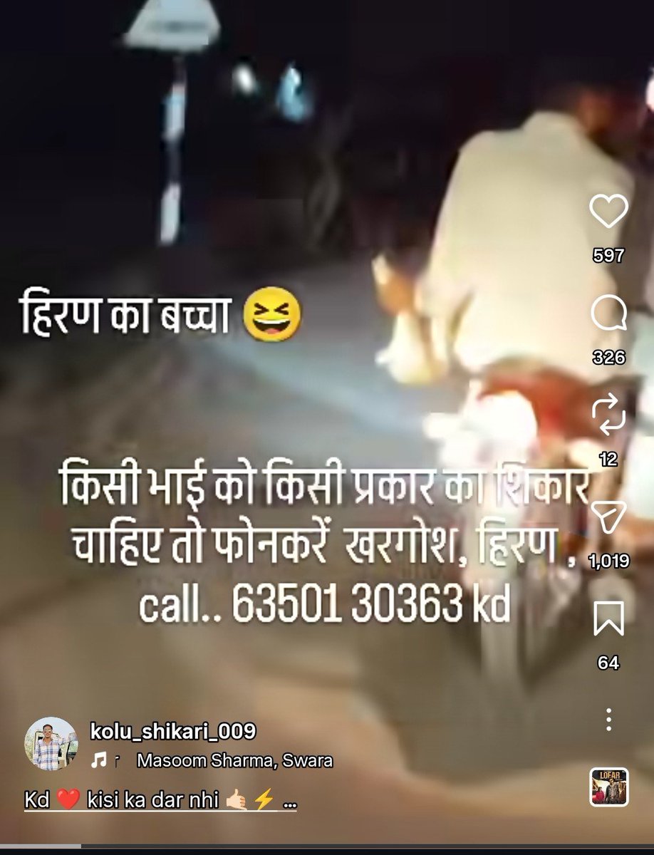 Guddu_jyani's tweet photo. सरेआम सोशल मीडिया पर हिरण और खरगोश के शिकार का धंधा चल रहा है! यह कानून और वन्यजीव संरक्षण को खुली चुनौती है। इस शिकारी पर तुरंत सख्त कार्रवाई हो।
आरोपी: kd (6350130363)
इंस्टाग्राम: @kolu_shikari_0009 / @mr__k_d_banna
@PoliceRajasthan @ForestDeptRaj @SpJodhpurRural https://t.co/ih69Cnc5EV