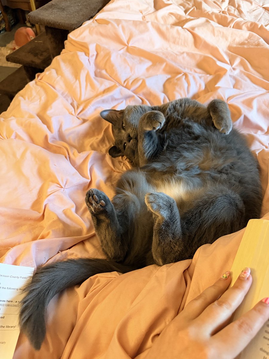 sparklylulz's tweet photo. @oreoeocat my silly goofy gals—natasha and yelena https://t.co/7tNm2hcsvD
