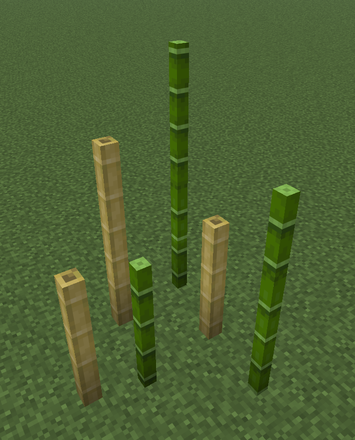 LuigiTKO's tweet photo. bamboo fences are literally just stripped bamboo canes idk how i never thought to put them side by side https://t.co/rRZJ5BU2ww