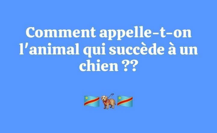 aline_yumba's tweet photo. 🤫🤫🤫🤫🤫🤷‍♂️ https://t.co/IJSlfp8ZXz