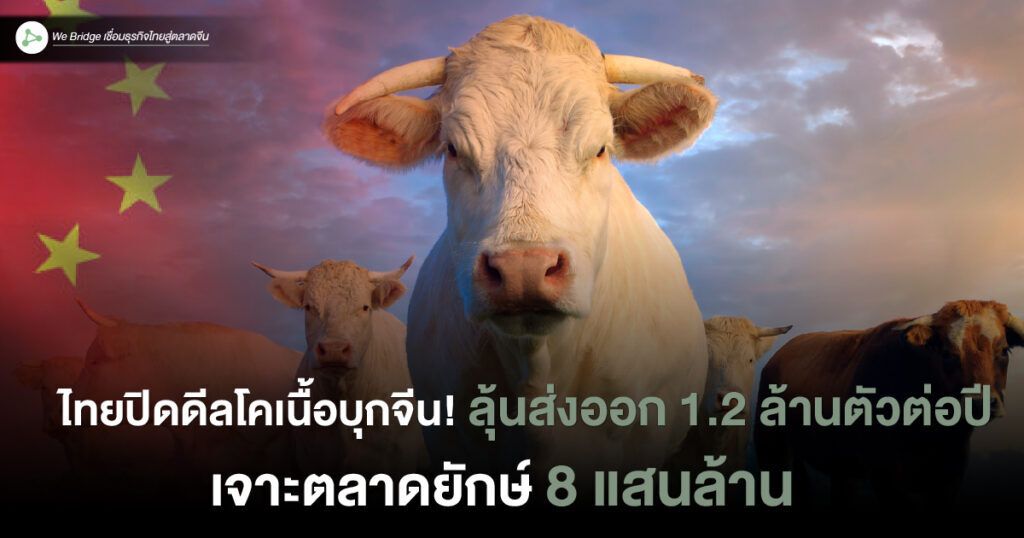 webridgeHQ's tweet photo. ไทยกำลังบุกตลาดโคเนื้อจีน! ตั้งเป้าส่งออก 1.2 ล้านตัวต่อปี สร้างรายได้มหาศาลให้เกษตรกร!
https://t.co/KVteuj8Do8 https://t.co/LSE9Ou8VSB