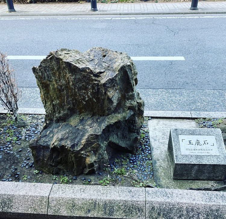 suki_book's tweet photo. 桜桃忌なので。
お墓参りに行く時間は無いので石だけ訪れました。 https://t.co/0gpjdriRc0