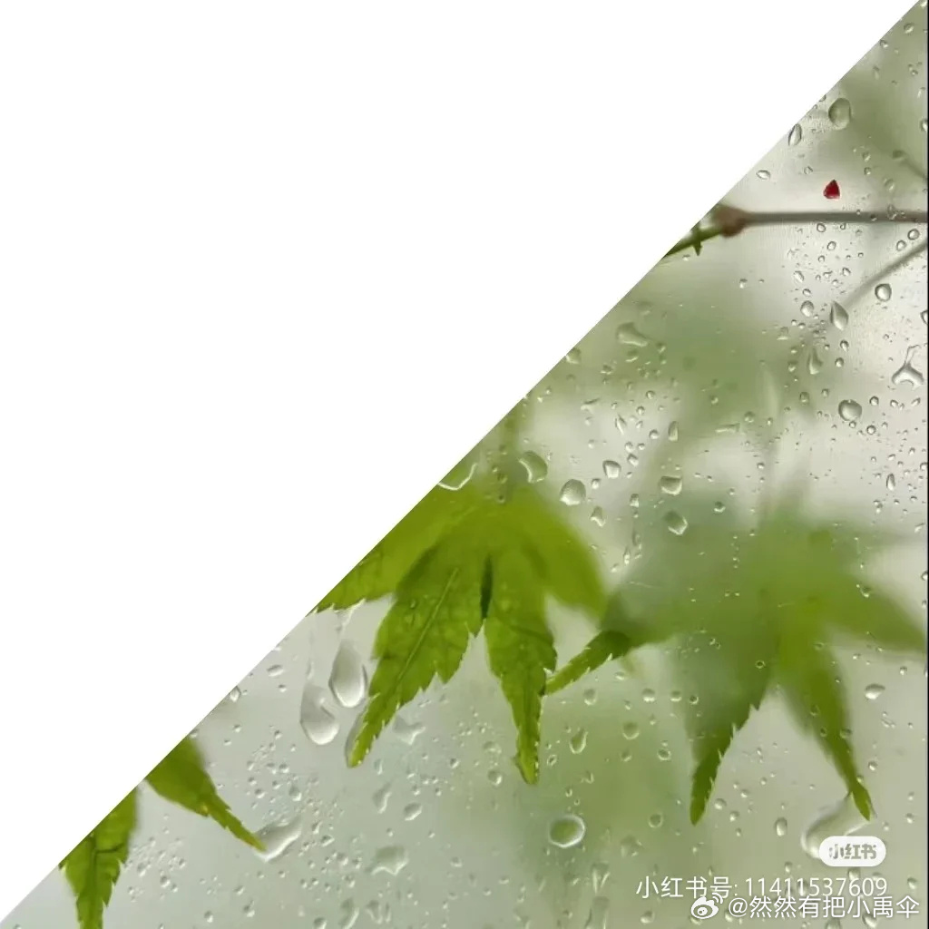 pq4g5y6QBZI9YxC's tweet photo. New to photography Start with natural light—soft, free, and perfect for beginners to practice composition! #Photography101 https://t.co/gXdbCepIsR