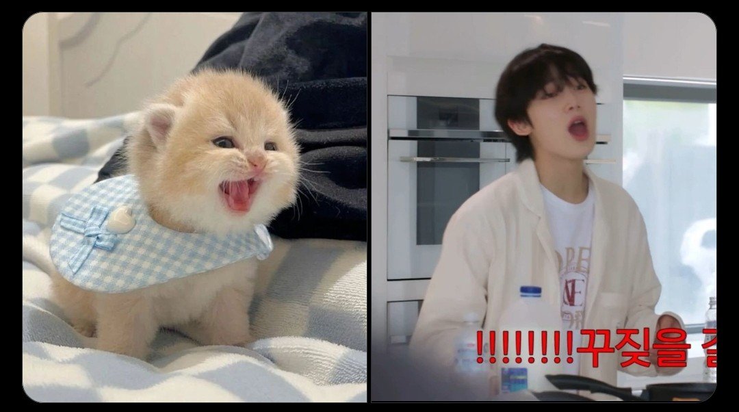 ttwilightae's tweet photo. Snoo versi mayah mayah https://t.co/lAHfVnZnnx