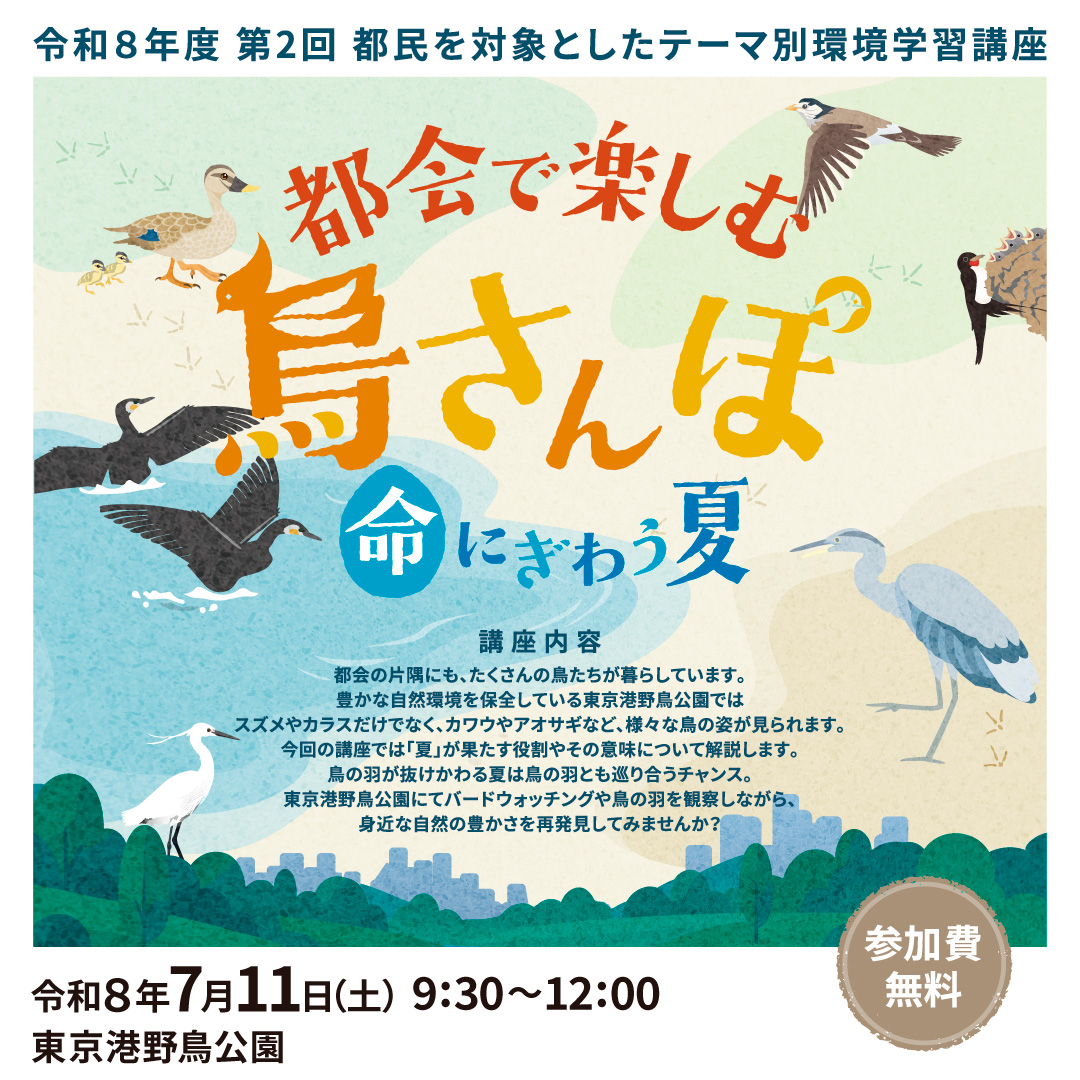 TOKYO_ecosteps's tweet photo. 都会の片隅にもたくさんの鳥たちが暮らしています。
夏は鳥の羽とも巡り合うチャンス。
東京港野鳥公園でバードウォッチングや鳥の羽を観察しながら、身近な自然の豊かさを再発見してみませんか？
参加には事前申込が必要です。詳細は👇
https://t.co/bog5BHrTTw

#自然界隈 #野鳥 #SDGs #環境 #大田区 https://t.co/VF1epWfMF4