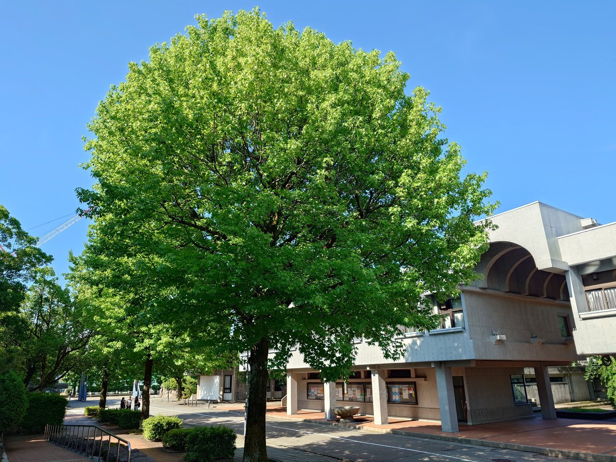 KIT_CampusNews's tweet photo. 今朝のキャンパス

金沢工業大学扇が丘キャンパス　2026年6月19日 https://t.co/HGmgY46ezZ