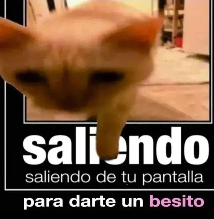 UltiagerG's tweet photo. @_zaira1011 https://t.co/OyZpQXhN9F