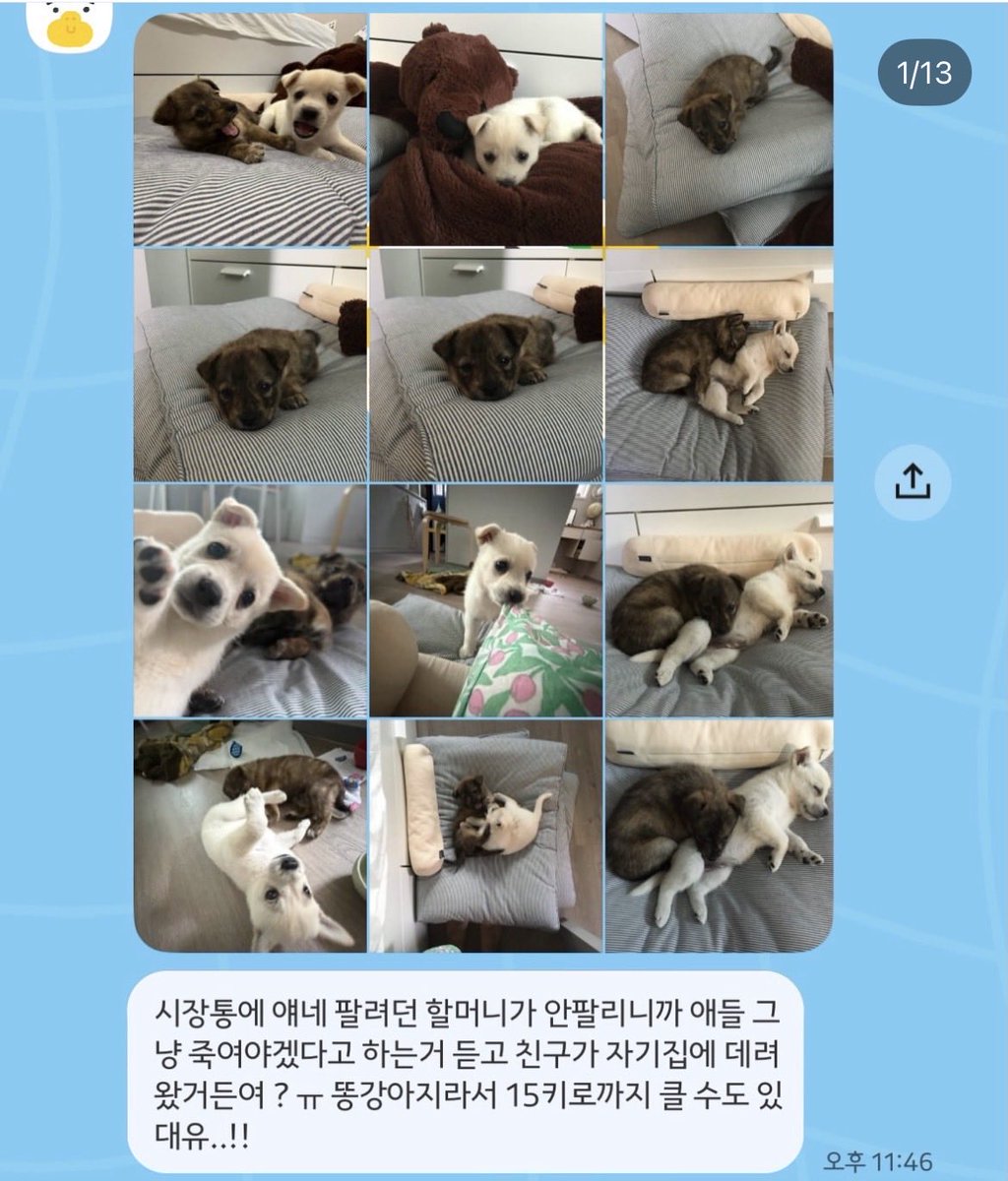 오디너리 tweet media