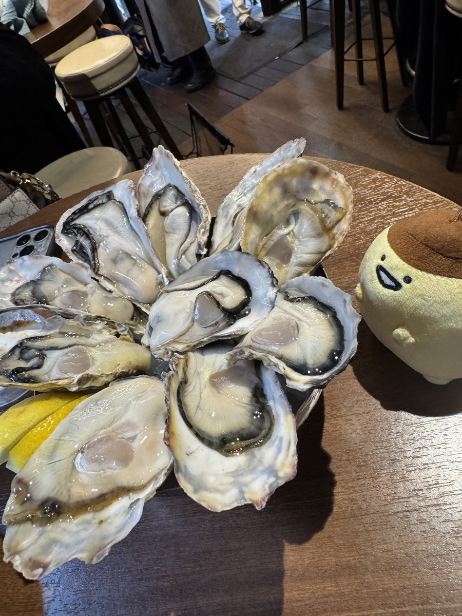 kint_lit's tweet photo. 横浜！ https://t.co/wa3lN2yfCD