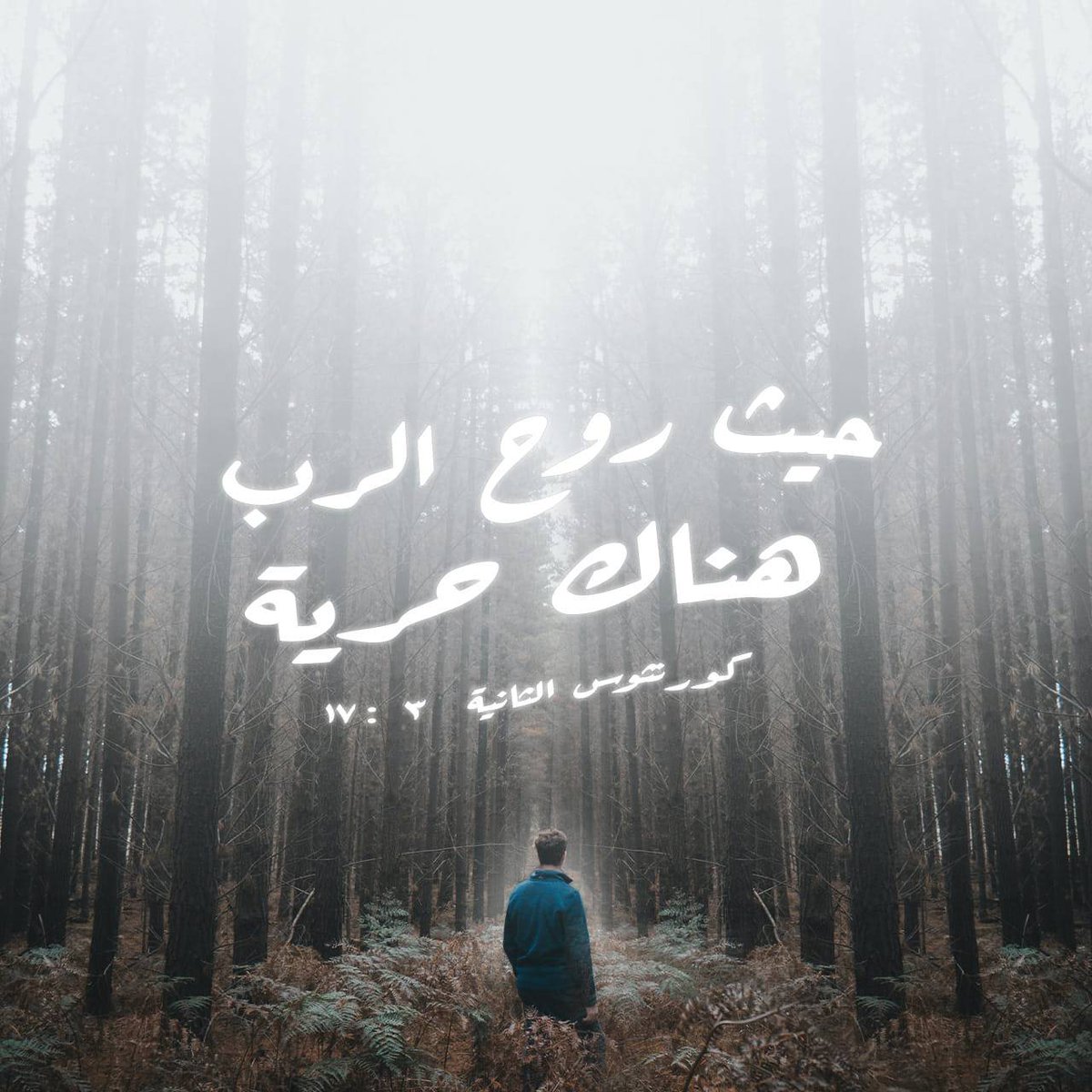 adelgkamel's tweet photo. https://t.co/xpCKgZL2gF https://t.co/eV570vbbHf