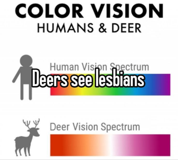 ipostdeer's tweet photo. https://t.co/bHPLQ2lROu