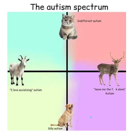 NoNonsenseND's tweet photo. Which one are u? https://t.co/28MYLuJEUU