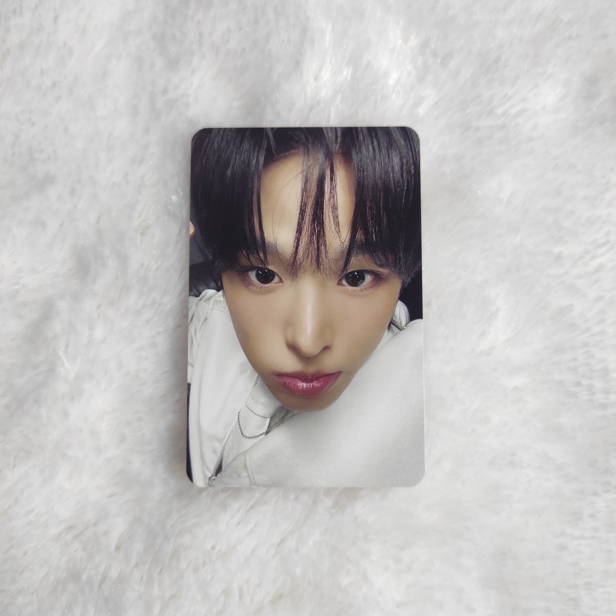Gobyup_backup's tweet photo. WTS Want To Sell Photocard Official NCT Wish Riku Singapore Makestar Ode To Love Photocard

💰 45.000

✔️ Ready INA
❌️ Packing
✔️ Siap co
✔️ Splitpay

Tag. Wts photocard murah riku nct wish wishie https://t.co/fj8VRSoB27