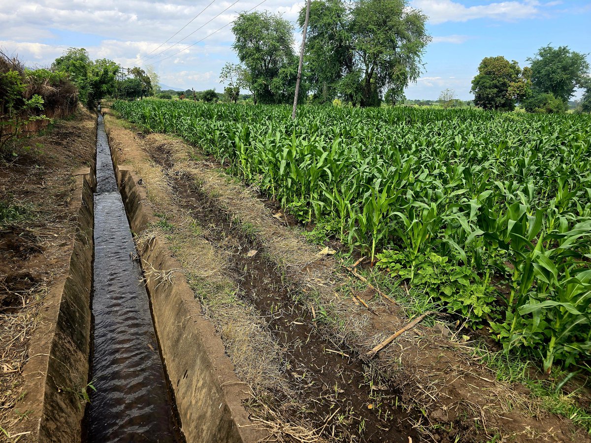 FAOMalawi's tweet photo. "When communities are empowered with the right support, they can recover, adapt, &amp; thrive, even in the face of climate-related shocks." – Ambassador Yasushi Naito, appreciating the impact of FAO-Japan emergency interventions towards farming communities in Chikwawa. 1/2 https://t.co/5d5a18bMsE