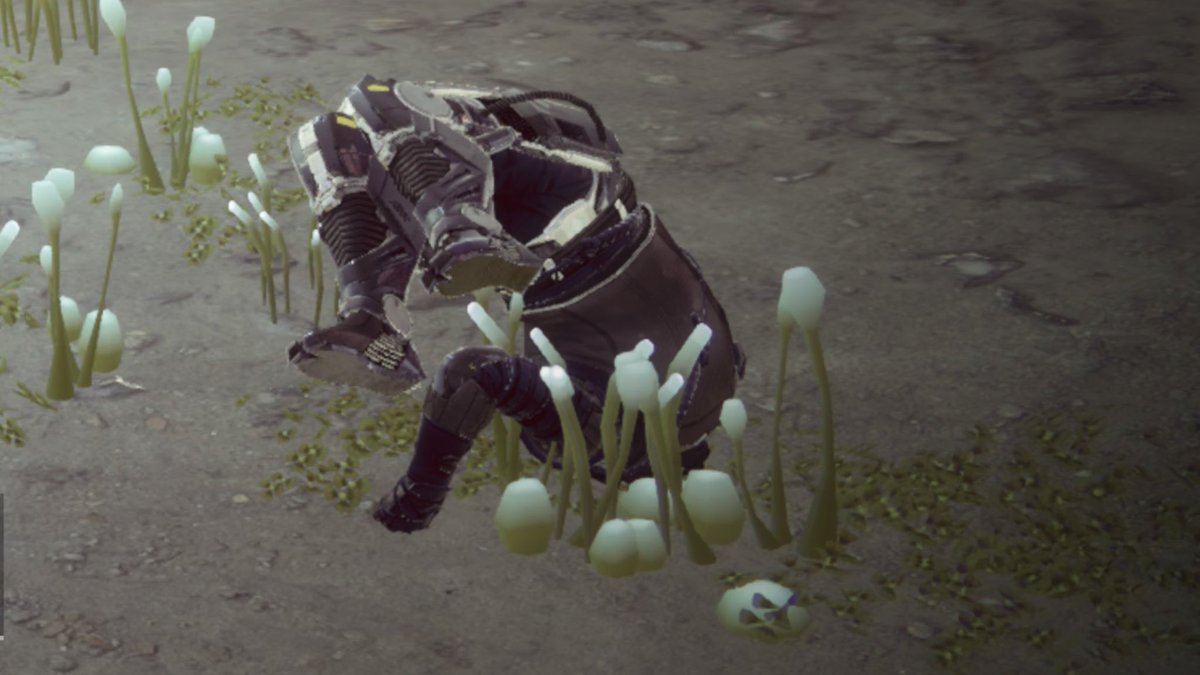 renren_822's tweet photo. かわいい
 #Destiny2 https://t.co/XDIwsRMlMv