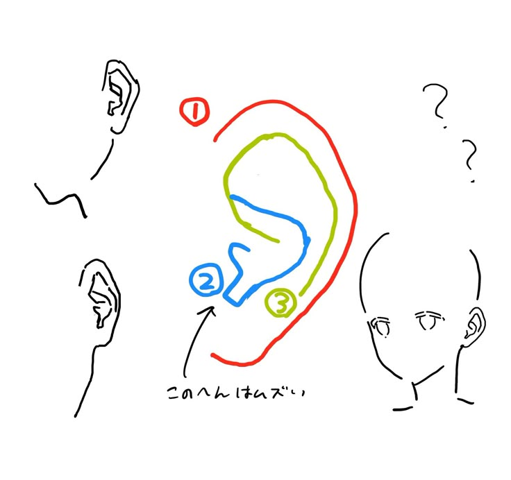 fznutri's tweet photo. Three lines are enough to make a good ear. https://t.co/mULG7XnA09