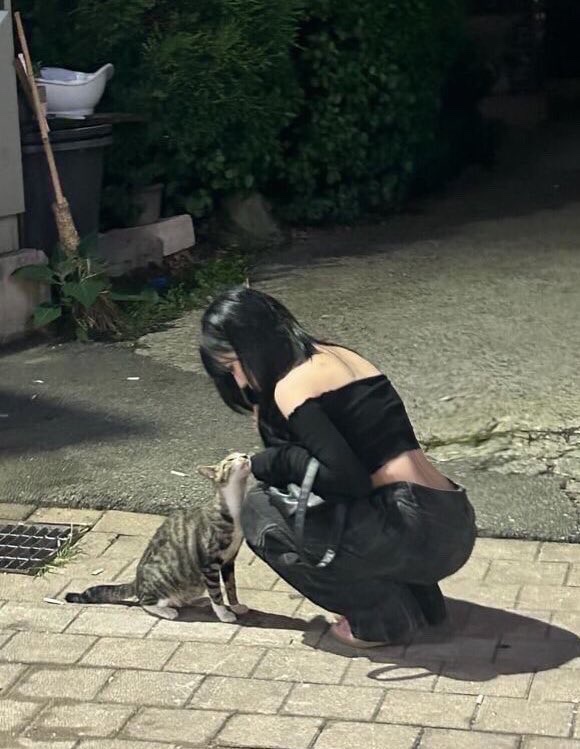 shiryohost's tweet photo. the internet fell in love with this unexpected duo 🐱👀 https://t.co/2LsgB7fIMV