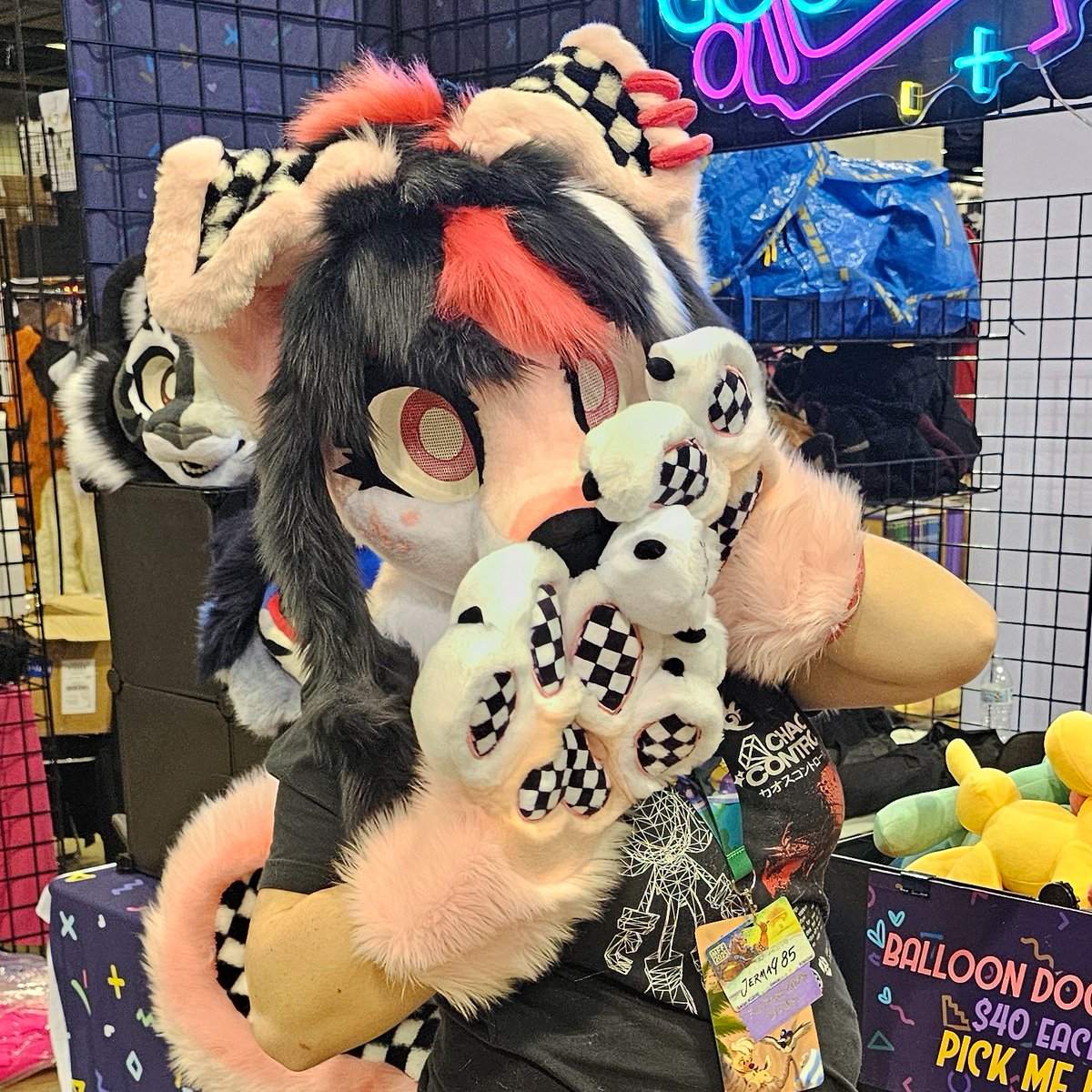 ThePrizeCounter's tweet photo. She's getting attention again!
She is still looking for a home if anyone is interested in taking her home! https://t.co/fJ2ZVWxKiw