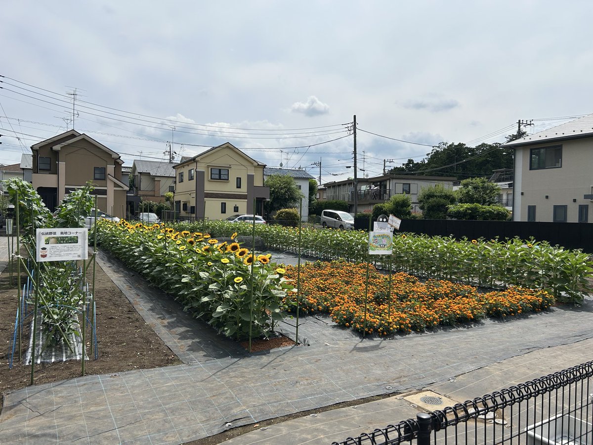 oringaarawareta's tweet photo. もう夏でしょ？夏ですよね？
誰か教えてください🙏

 #おっさんの帰り道
 #おっさんの地元 https://t.co/lvflq3jjqz