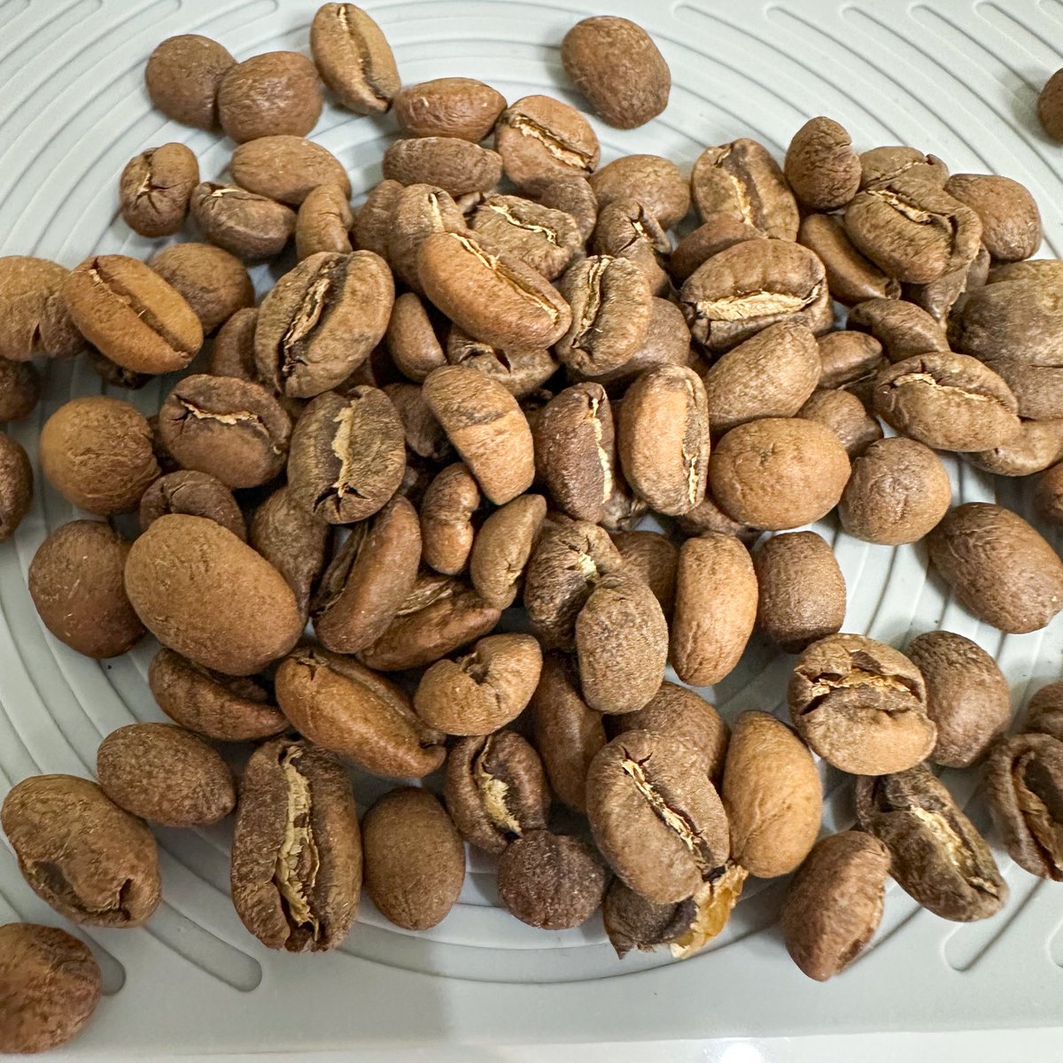 KenkenCoffee's tweet photo. Peru🇵🇪EL MORITO Washed
20g, LAGOM P80 5.0
96℃, Ratio 1:18, Total Time 2:56
TDS1.28%, EY19.92%

挽き目0.2粗く微調整。

まだ一口目の苦味の刺激はあるけど抑える方向には動いてるっぽい。

これ以上粗くすると収率下がりすぎて甘さ減って逆に苦くなるから、これくらいがいいポイントかな🤔 https://t.co/HCKXEQHqTd