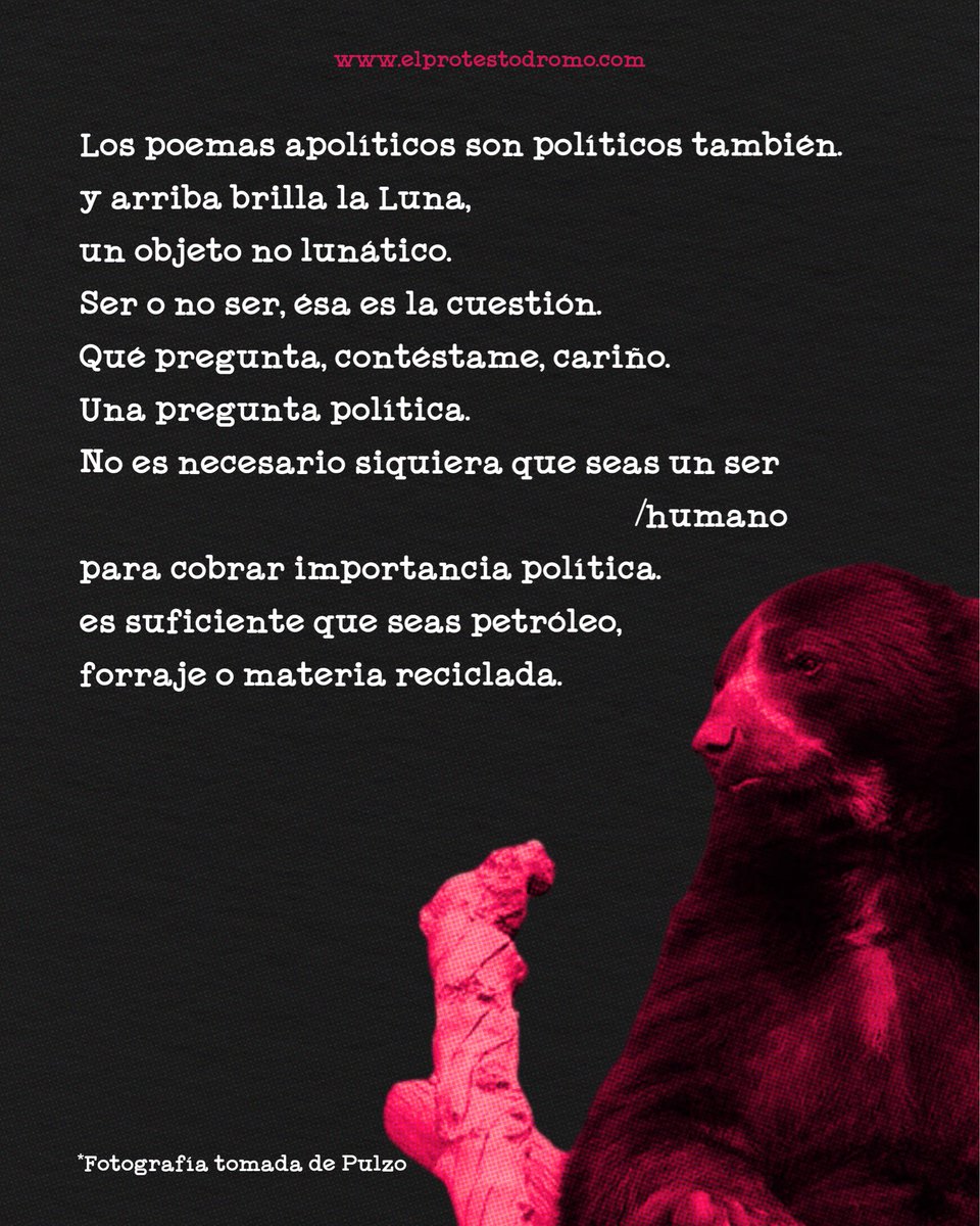 ElProtestodromo's tweet photo. Szymborska lo advirtió: hasta el silencio suena político.

Este 21 de junio, que tu voto resuene. https://t.co/dBXPqzSill