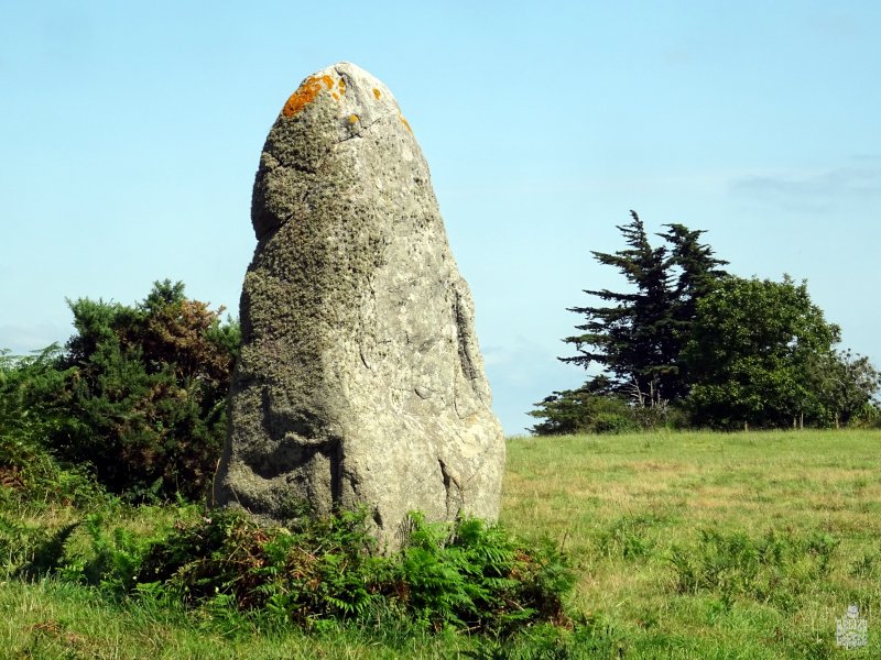 GiachelloB's tweet photo. Souvenirs de Bretagne, sur le Sentier côtier de Plouhinec, menhir de Nestadio 😉
#morbihan #brittany #tourisme #tourism #voyage #travel #baladesympa #breizh #megalithe #megalith #patrimoine #bretagnetourisme #photo #heritage #voyageonsbreton #Pluvigner #labretagnedebreizhkorser https://t.co/Jjw4HkHRAg