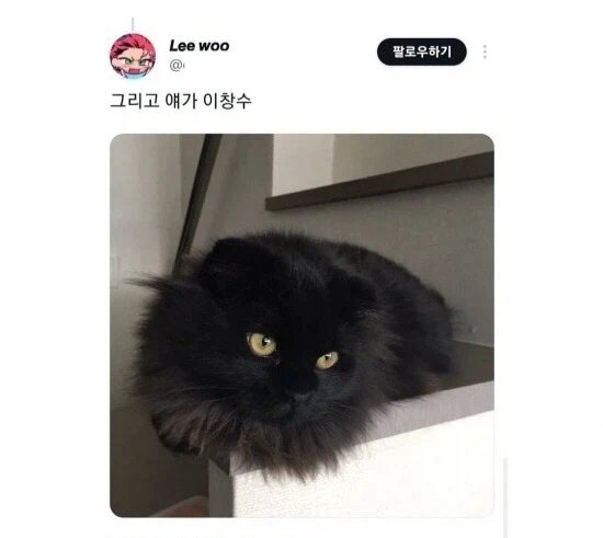gaeuggyeo's tweet photo. 동물병원 고양이 이름 대참사 https://t.co/77iNrc5i1H