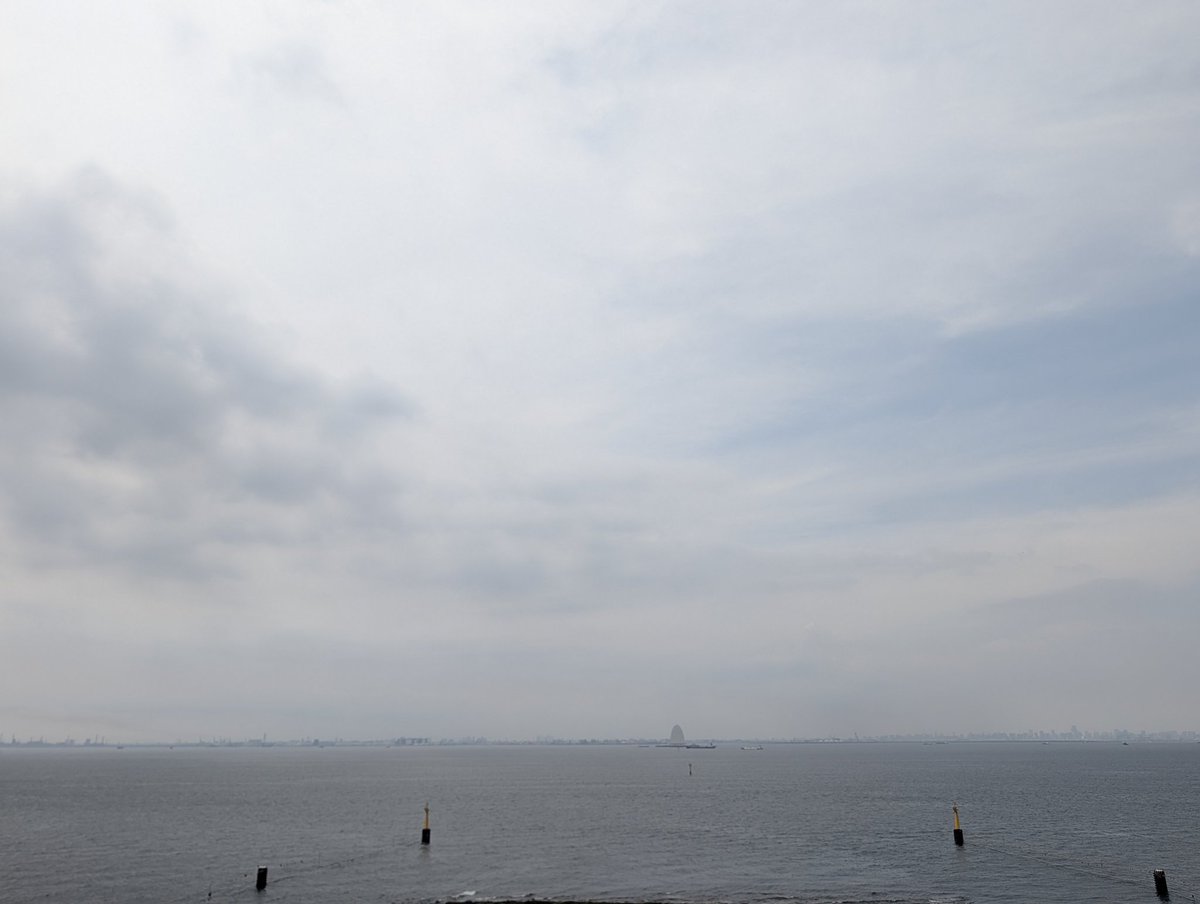 のりりん (@tiny_seed) / Posts / X