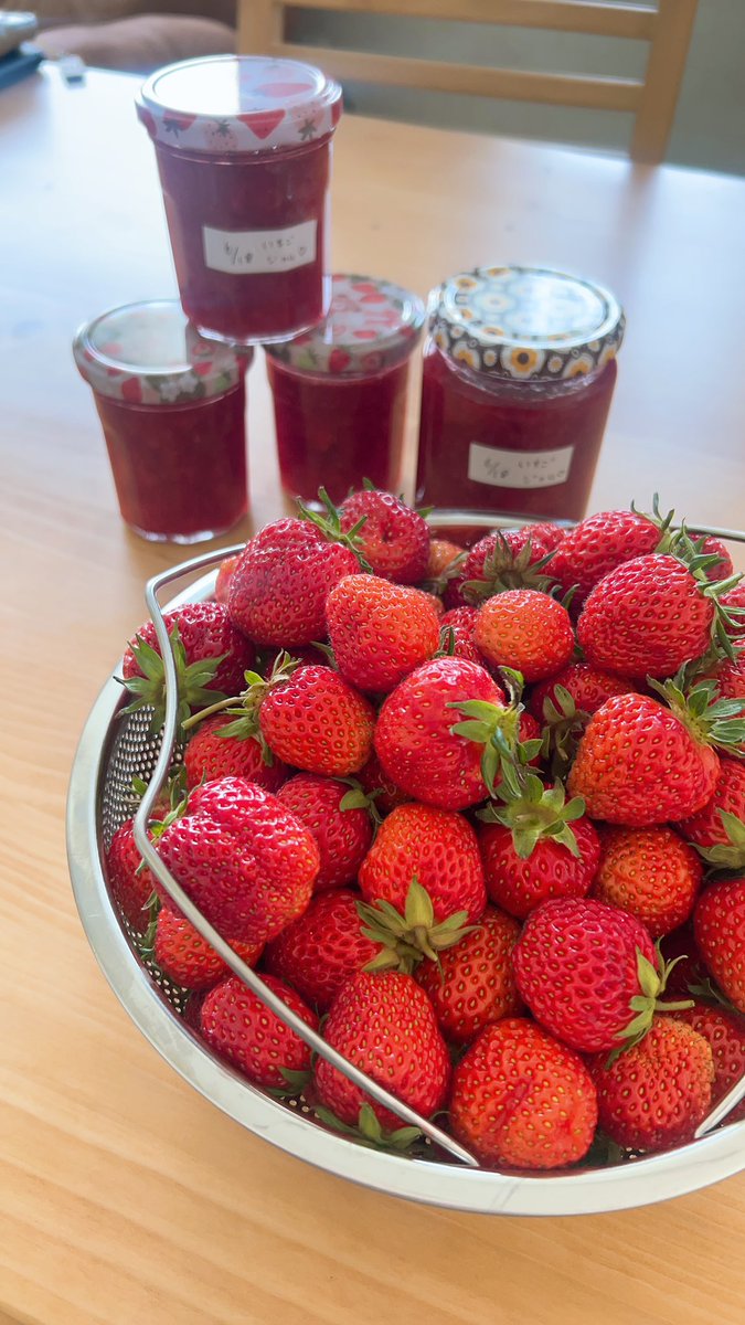 jjw7c's tweet photo. 3日に1回イチゴが大量収穫できる🍓

冷凍してジャムにして昨日仕込んたのに今日も800ｇ以上収穫できた✨

毎日イチゴ食べれて幸せ(  ´˘`  )♥️ https://t.co/BwZ26KFvo8