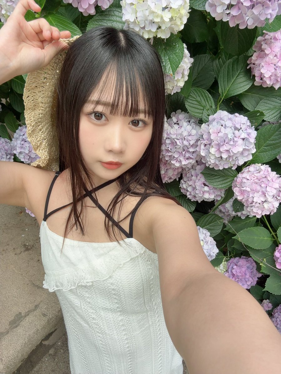 thx_miyu's tweet photo. 秘密の場所に紫陽花がたくさん咲いてました💠 https://t.co/iQvrIjmY81