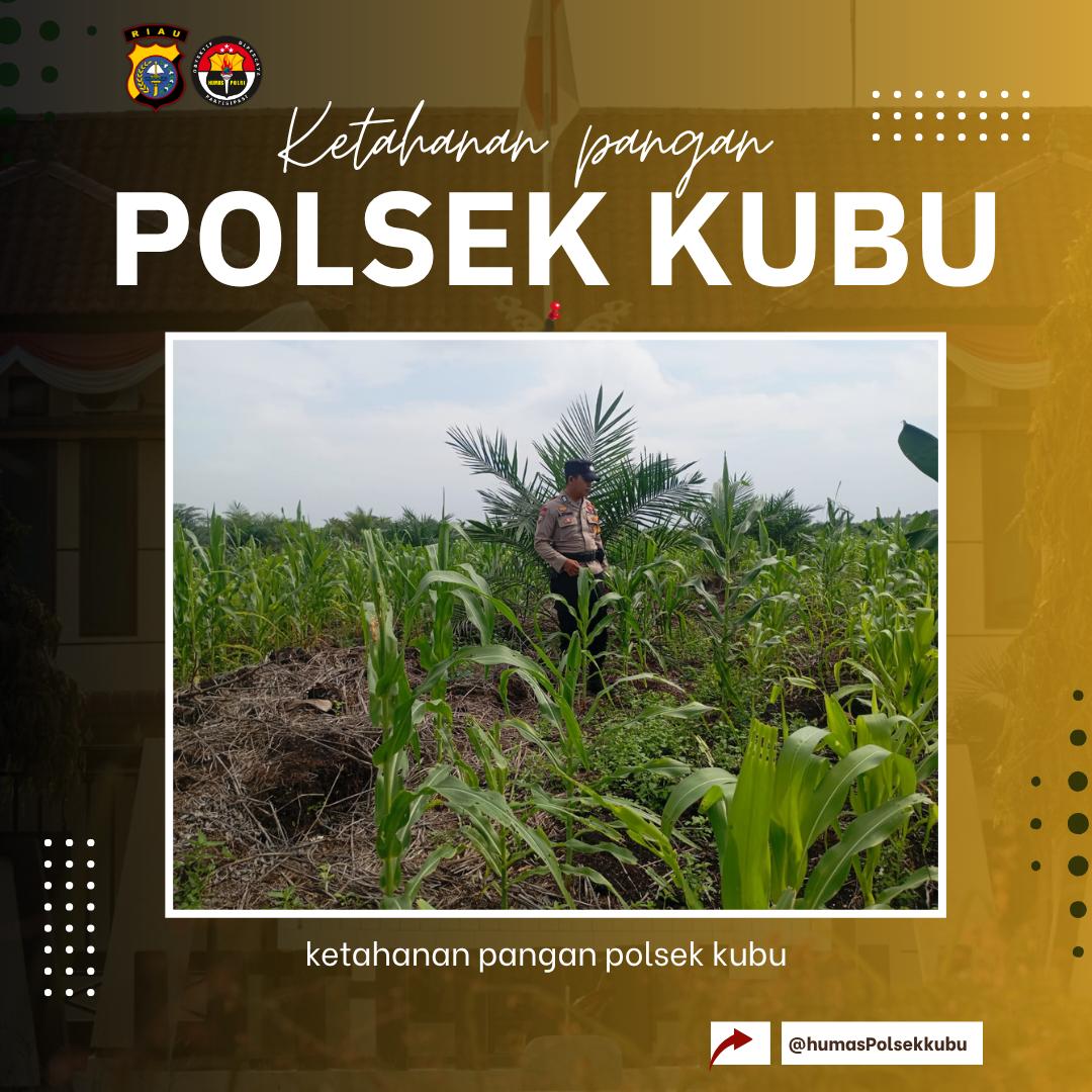 joedhattnt's tweet photo. Kanit Binmas Polsek Kubu melakukan kegiatan pengecekan tanaman jagung di wilkum polsek kubu

#polsekkubu
#polisicintapetani
#swasembadapangan
#ketahananpangan https://t.co/hgXimJI4lQ