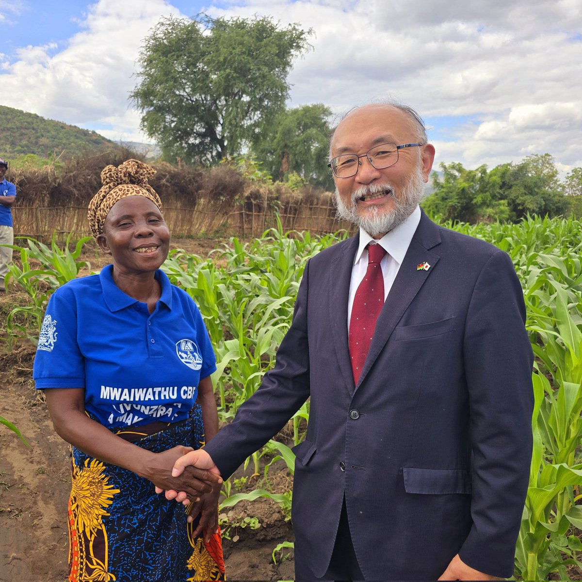 FAOMalawi's tweet photo. "My crop is thriving. This time, I did not recycle seed because I received certified seed. I will harvest enough to last through the lean season." – Noliya Edson, beneficiary. 

FAO &amp; Japan🇯🇵 provided fertilizer, maize &amp; bean seed to 3 000 El Niño-affected households in Chikwawa. https://t.co/6PNlWoVwpI